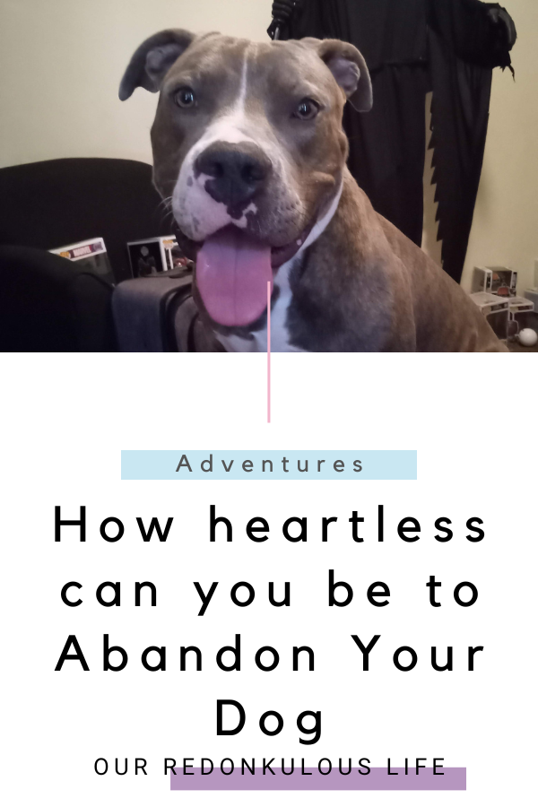Abandon Your Dog